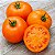 Tomate Laranja: 20 Sementes - Imagem 1