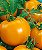 Tomate Laranja: 20 Sementes - Imagem 7