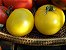 Tomate Lemon Boy: 20 Sementes - Imagem 7