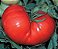 Tomate Ponderosa Red: 20 Sementes - Imagem 6