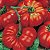 Tomate Ponderosa Red: 20 Sementes - Imagem 5