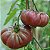 Tomate Purple Calabash: 20 Sementes - Imagem 5