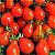 Tomate Red Pear: 20 Sementes - Imagem 4
