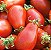 Tomate Red Pear: 20 Sementes - Imagem 10