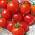 Tomate Siberiano: 20 Sementes - Imagem 8