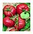 Tomate Triple L Crop: 20 Sementes - Imagem 6