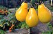 Tomate Yellow Plum: 20 Sementes - Imagem 8