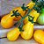 Tomate Yellow Plum: 20 Sementes - Imagem 9