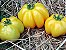 Tomate Yellow Stuffer: 20 Sementes - Imagem 3