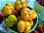 Tomate Yellow Stuffer: 20 Sementes - Imagem 1