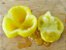 Tomate Yellow Stuffer: 20 Sementes - Imagem 6