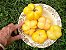 Tomate Yellow Stuffer: 20 Sementes - Imagem 4
