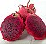 Fertilizante Forth Frutas 60ml - Imagem 7