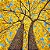 Ipê Amarelo (Handroanthus chrysotrichus): 10 Sementes - Imagem 1