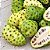 Noni - Morinda citrifolia - 3 Sementes - Imagem 1