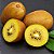 Sementes de Kiwi Golden - 20 Sementes - Imagem 1