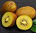 Sementes de Kiwi Golden - 20 Sementes - Imagem 1