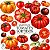 Tomates Sortidos - 500 Sementes - Imagem 1