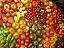 Tomates Sortidos - 500 Sementes - Imagem 1