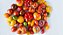 Tomates Sortidos - 1000 Sementes - Imagem 1