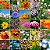 Mix de Flores Sortidas: 3000+ Sementes - Imagem 1