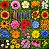 Mix de Flores Sortidas: 3000+ Sementes - Imagem 3