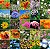 Mix de Flores Sortidas: 3000+ Sementes - Imagem 1