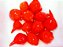 Pimenta Biquinho - Capsicum chinense - 200 Sementes - Imagem 5