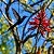 Mulungu do litoral - Erythrina speciosa - 15 Sementes - Imagem 1