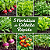 Kit 5 Espécies de Hortaliças “Plante e colha rápido” - Imagem 1