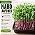 Microverdes Nabo Japones: 500 Sementes - Imagem 1