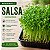 Microverdes Salsa Manu: 500 Sementes - Imagem 1