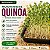 Microverdes Quinoa (Kinoa): 500 Sementes - Imagem 1