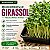 Microverdes Girassol: 100 Sementes - Imagem 1