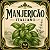 Manjericão Italiano (Genovês) - Ocimum basilicum - 20 Sementes - Imagem 1