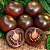 Tomate Cereja Preto (Raridade): 100 Sementes - Imagem 1