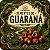 Guaraná - 5 Sementes - Imagem 1