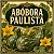 Abóbora Paulista: 5 Sementes - Imagem 1