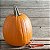Abóbora de Halloween Howden: 5 Sementes - Imagem 2