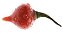 Pimenta Biquinho - Capsicum chinense - 40 Sementes - Imagem 4