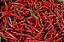 Pimenta Cayenne: 40 Sementes - Imagem 3