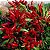 Pimenta Etna Ornamental: 15 Sementes - Imagem 2