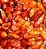 Pimenta Chili Mexicana: 20 Sementes - Imagem 4