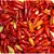 Pimenta Chili Mexicana: 20 Sementes - Imagem 1