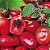 Pimenta Rocoto Peruana: 5 Sementes - Imagem 2
