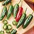 Pimenta Serrano: 10 Sementes - Imagem 1