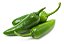 Pimenta Serrano: 10 Sementes - Imagem 4
