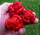 Pimenta Trinidad Scorpion: 10 Sementes (Pimenta Nuclear) - Imagem 2