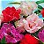 Beijo de Frade Dobrado Sortido - Impatiens balsamina: 20 Sementes - Imagem 1