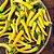 Pimenta Cayenne Amarela (EXCLUSIVIDADE) Caiena : 10 Sementes - Imagem 2